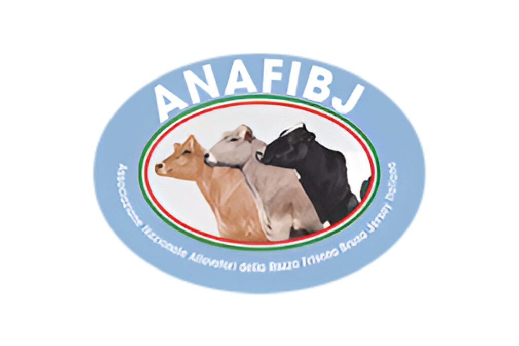 logo A.N.A.F.I.B.J.